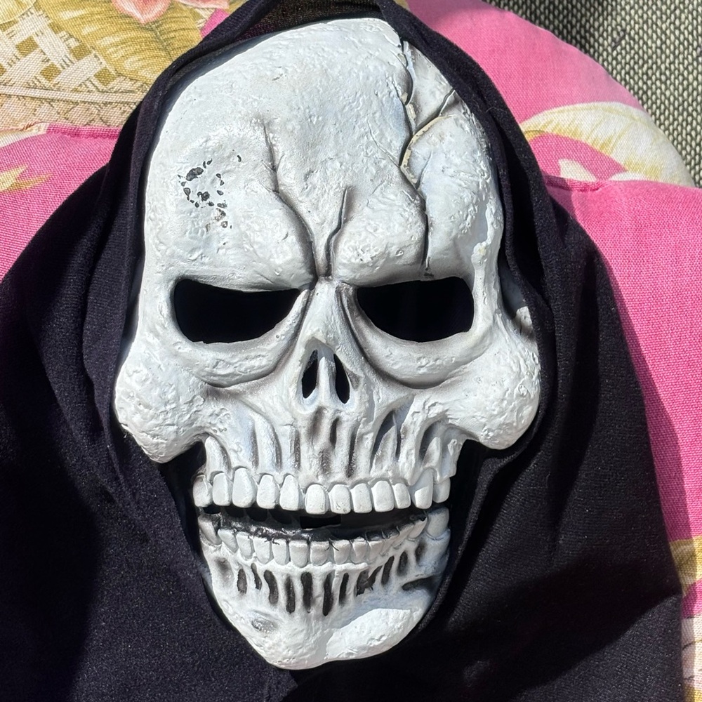 Vintage Fun World Easter Unlimited Skull/Scream Style Mask! - Picture 2 of 5